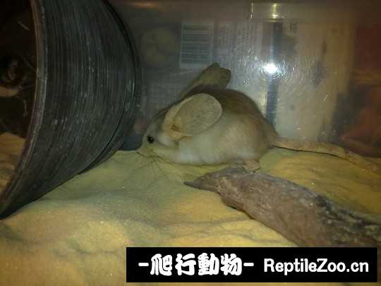230311rpb2vc3v7qoboabb.jpg