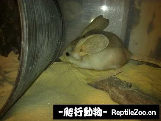 230311zi2k59xkmuemj9u9.jpg