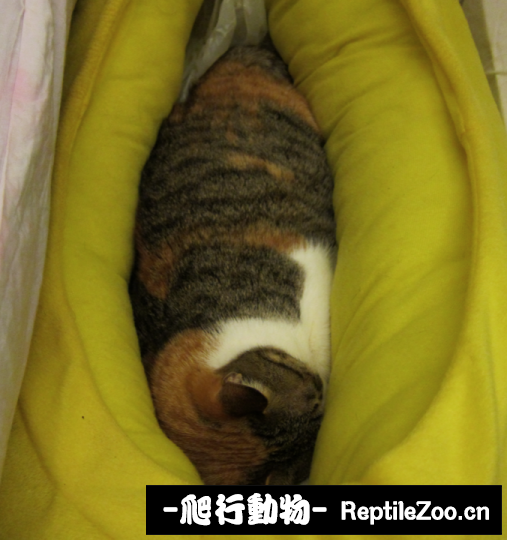 230612sf5sjbsh69up5fsj.png