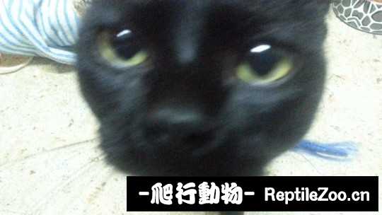230620hzee4n8czxeqz122.jpg
