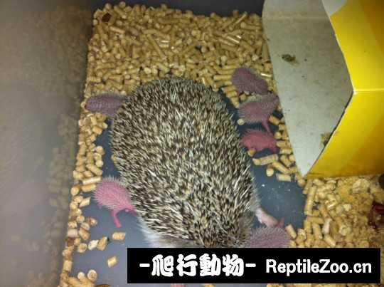 230653jss8smzdq8qt8fso.jpg