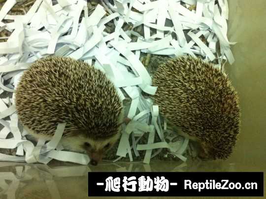 230653zww00nx48x0zksz6.jpg