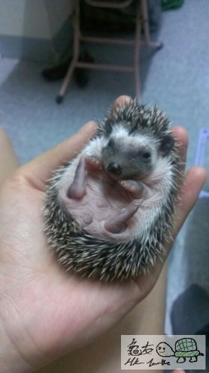 230705kqqru3geknuxfnr0.jpg