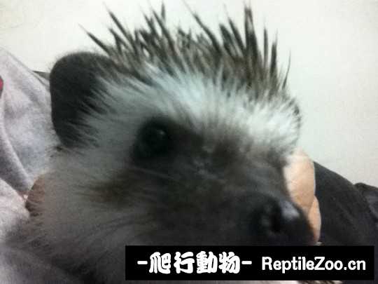 230713gqkwpfh87kga7acc.jpg