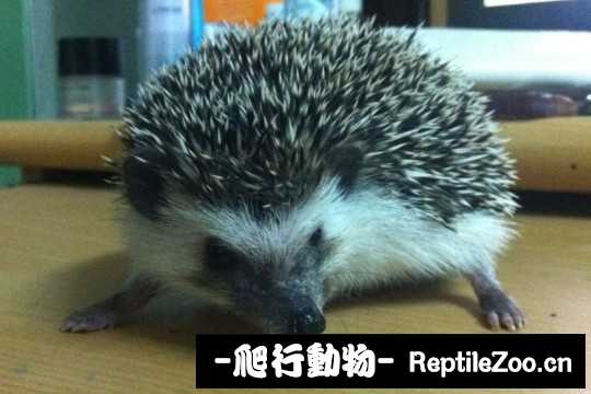 230713zgnlsdkbnttbndb7.jpg