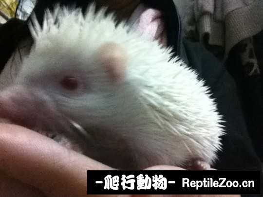 230714yd6rkzddhylcedez.jpg
