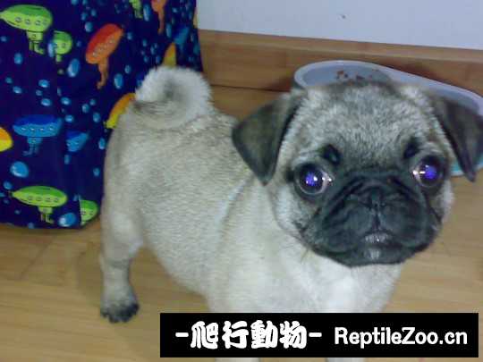 230752uyg00ed6kwuyykgw.jpg