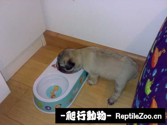 230753m5goyc8roo584ln2.jpg