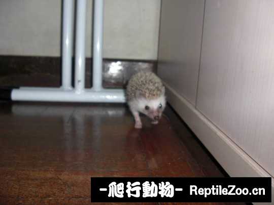 230820o4cd62flnlfwfqn6.jpg