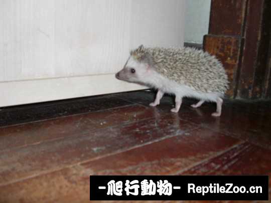 230821wyljcoy92yxonj5t.jpg