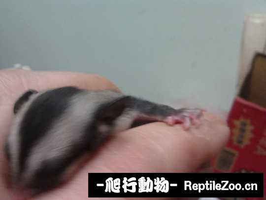 230832eqna712cnz2h7ynz.jpg