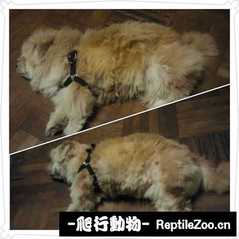 230842hh45qzz0ztg34hjg.jpg