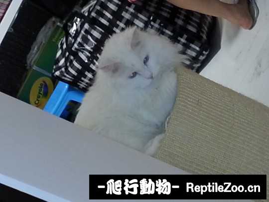 230842vvmzz9nvi3i28sjm.jpg
