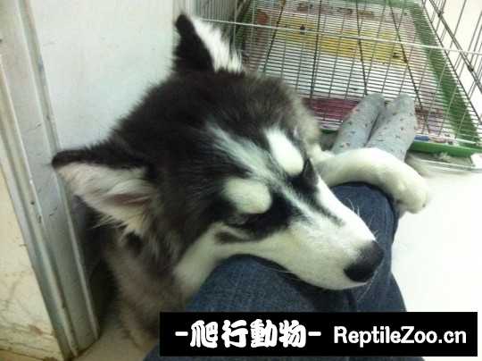 230854imtfsza8c7xxp8og.jpg