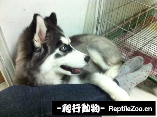 230854qq8m3q3ze3pqt33s.jpg