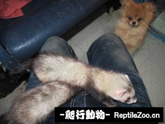 230934n6ppsfoohghsgpee.jpg