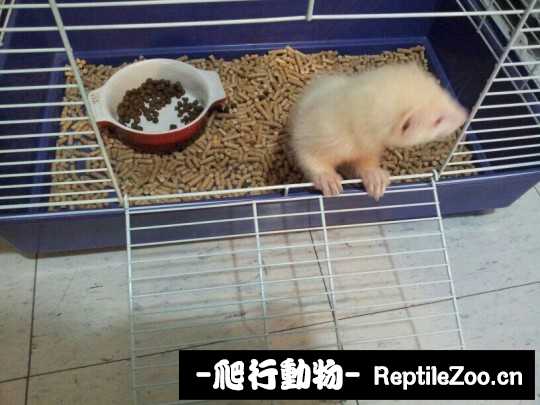 230934slhyzvzh2i0hy85h.jpg