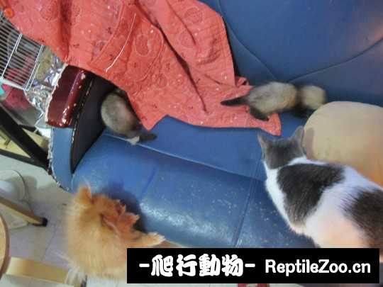 230937csmjm9a4sgj0kz0a.jpg