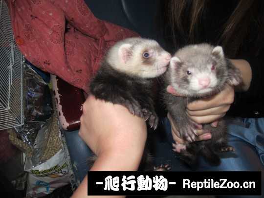 231013mkdoh64fjk6hmhaa.jpg