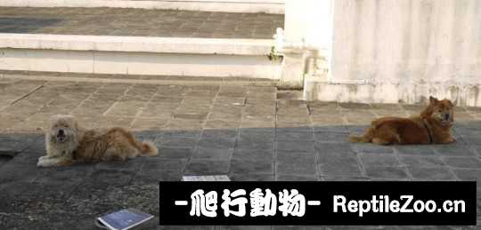 232319u11or6m773o771dd.jpg
