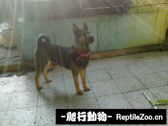 232329gy6qy9yzjsmzymlj.jpg