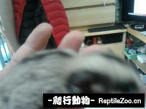 232551go6w1biita1l4449.jpg
