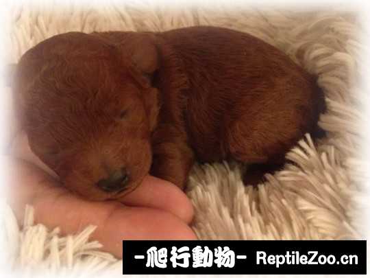 232636hd3nebi34mebdxsw.jpg