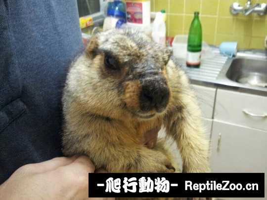 232719y5cyyhyu6d5w95hu.jpg