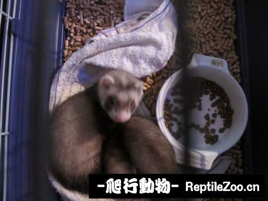 232828phc3jjagmzmm0gcf.jpg