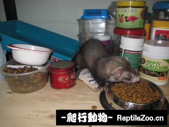 232828q622mg7wkkm3w7k2.jpg