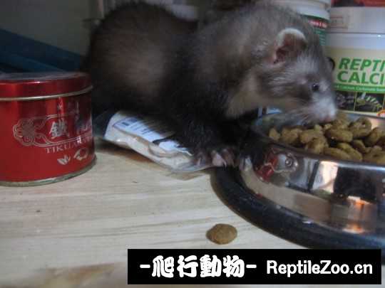 232828zdjmzu1m6t5dwrmt.jpg