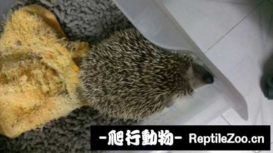 232833xkjjvf1yy51hakuy.jpg