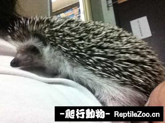 232834xmuru3qu9rnmredn.jpg