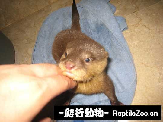 232836o0420rya0cccy27l.jpg