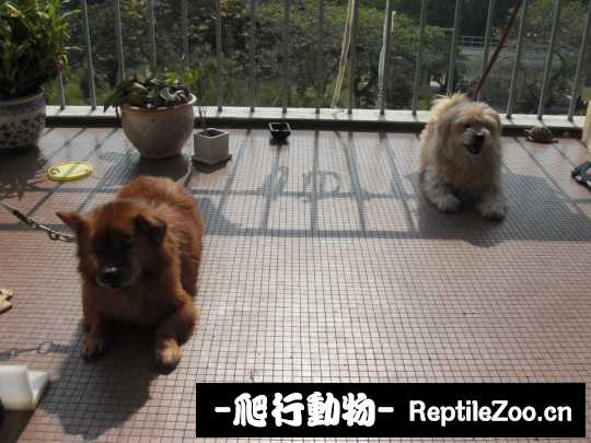 232841hk13vqwhv2ql9h39.jpg