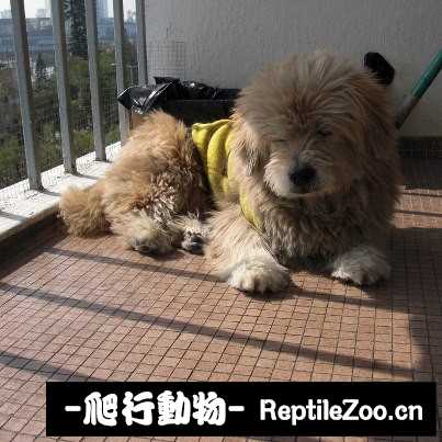 232952lkr2rbc72bdrbryr.jpg