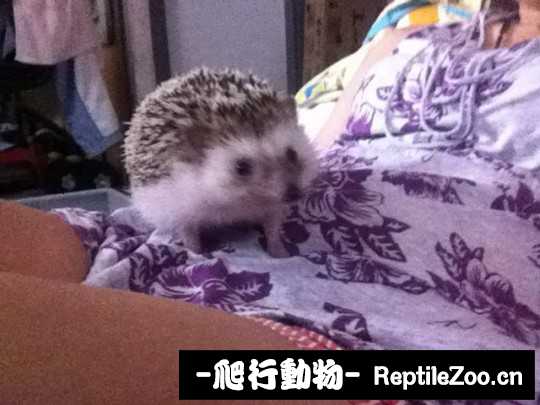 233310jpdv3c2pp56pn2wy.jpg
