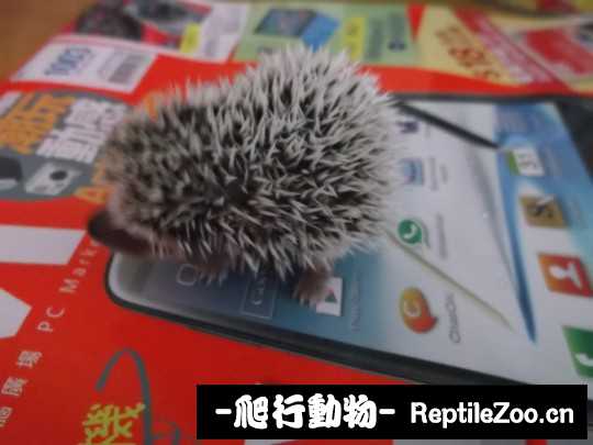 233323srj7972rnjvvvsjj.jpg