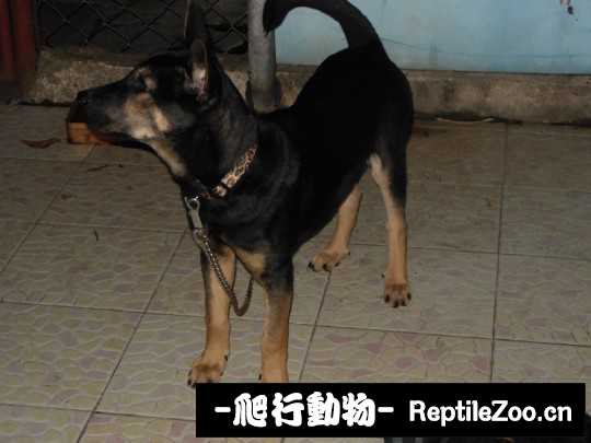233359feyv6q4sqzw4evyy.jpg