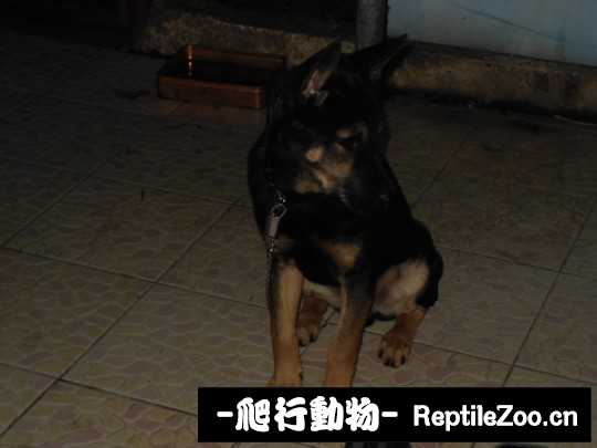 233359ideneql9q4orax9o.jpg