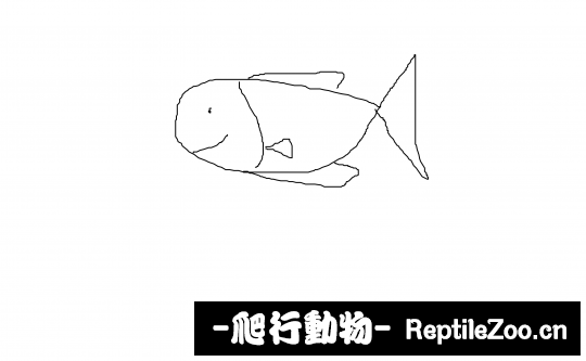 233404h0y6fyt2fc0b6new.png