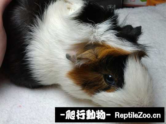 233407l3z2ek937lr59iea.jpg