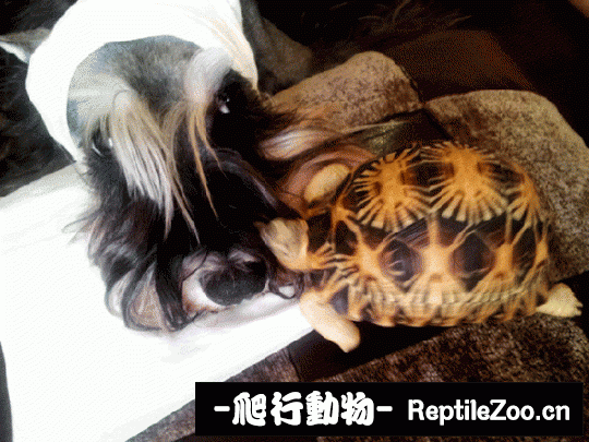 233516ad3m7v3418ge5g8p.gif