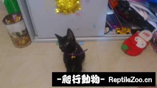 233556dhbsule7lqkegjbs.jpg