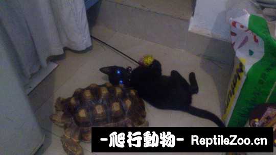 233557yb2pt2cyta7pzche.jpg