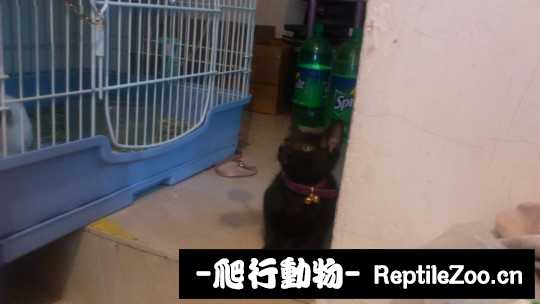 233558rwxz6emfkcjmcwx3.jpg