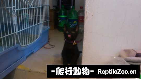 233558xyenyh55gqr4fp4m.jpg