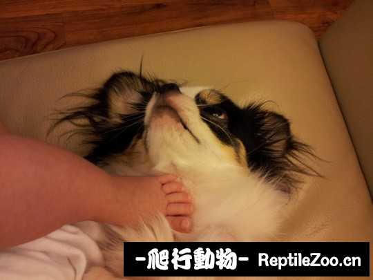 233608cihhg5ujq5ib1h55.jpg