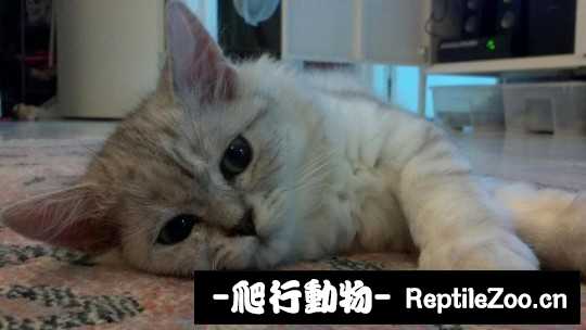 233642jrr39rd23bj64jrr.jpg