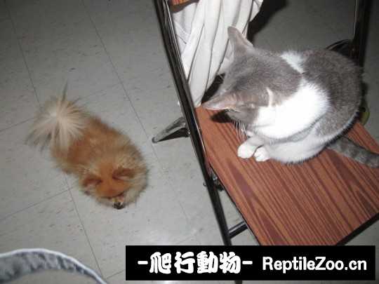 233643u4tmkzvmq0mvq5qu.jpg